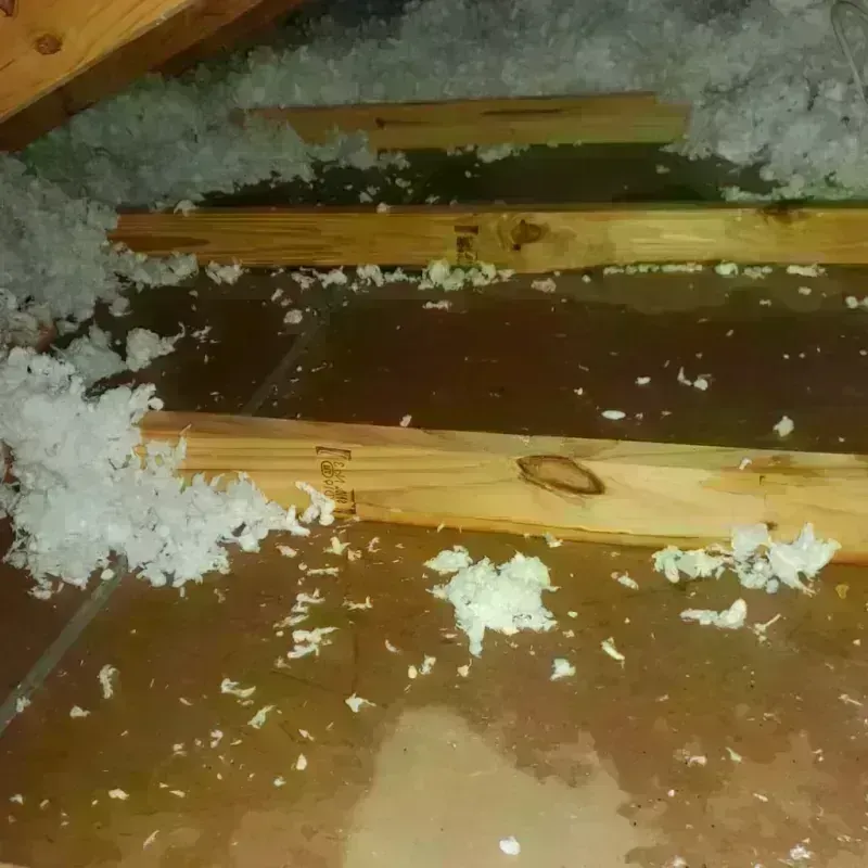 Attic Water Damage in Ford City, PA