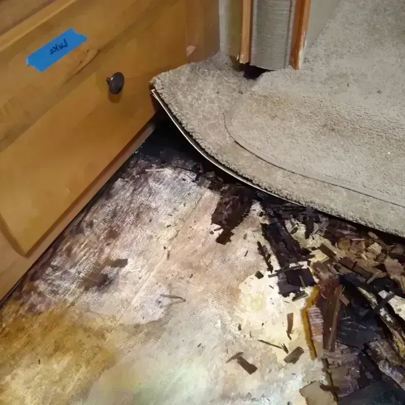 Wood Floor Water Damage in Ford City, PA